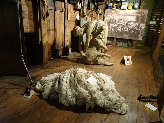 National Wool Museum